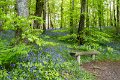 Springtime in Monaghan 2013 (14)